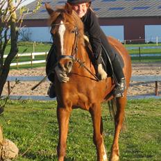 Anden særlig race Starlight