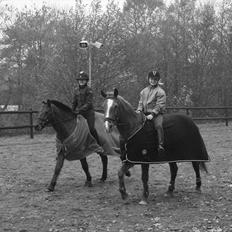 Anden særlig race Oliver