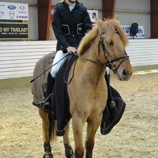 Anden særlig race Golden Dane (Bailey)