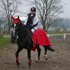 DSP Skovgårdens Sigma ( R.I.P)