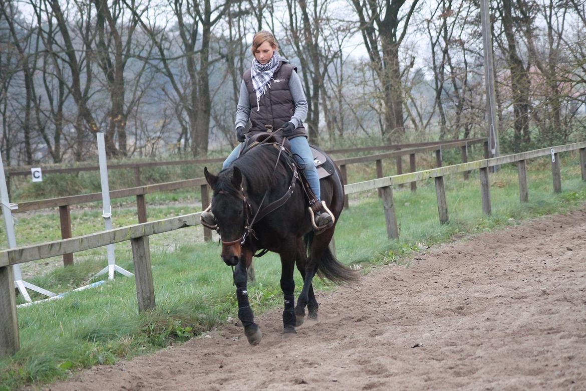 Quarter Timber Ranch Shilooh - d. 13/11-11  billede 5