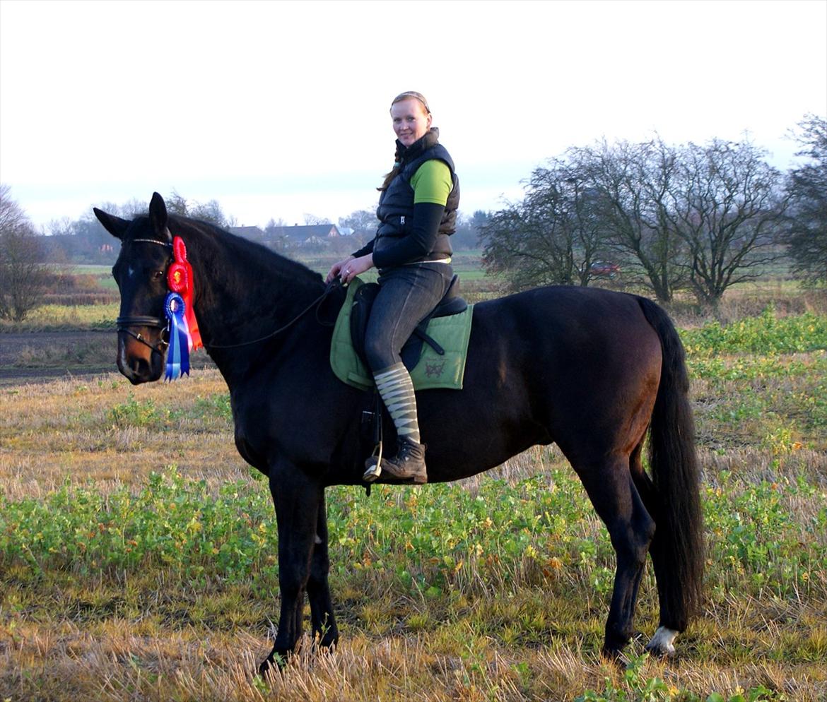 Anden særlig race Teddy - Rosetterne fra oktober Interdressage.com billede 20