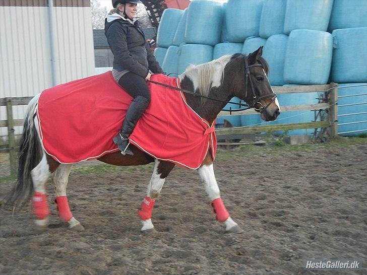 Pinto Søholt's Teepee"Goodbye my savior" billede 9