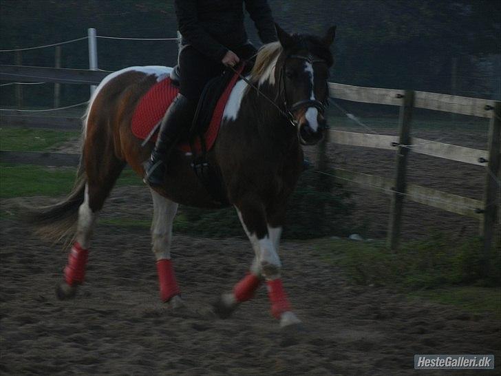 Pinto Søholt's Teepee"Goodbye my savior" billede 15