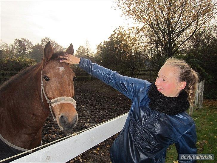 Anden særlig race kashede´s precious jewel!!<3   - Et smil koster intet,
men sætter meget i gang billede 15