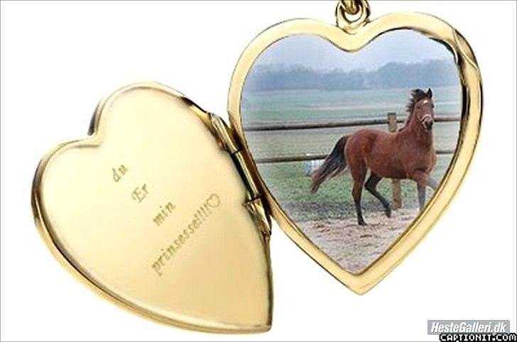 Anden særlig race kashede´s precious jewel!!<3   - Bryd ikke venskabs bånd -
om du er klog.
Selvom det  kan knyttes igen..
en knude bliver der, dog der på.
 billede 16