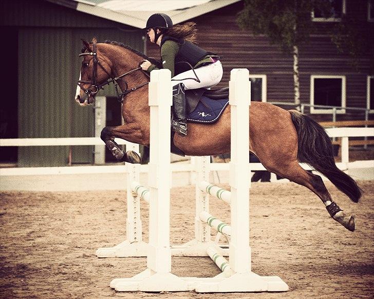 Anden særlig race Cappagh Unique - Hillerød d. 27/5 2011
LB** billede 8