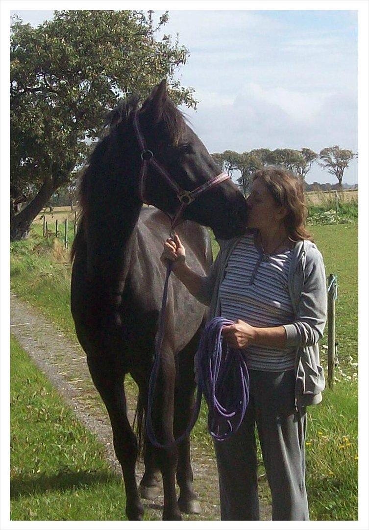 Anden særlig race Briza - En lille gåtur billede 8