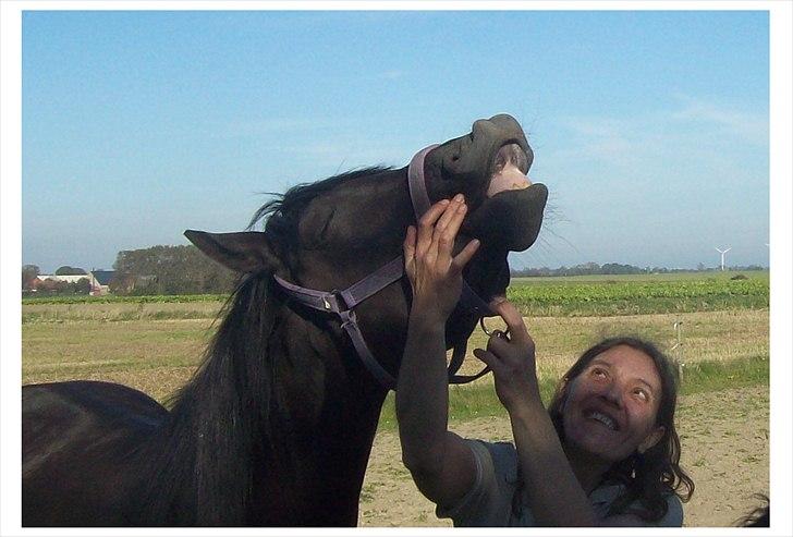 Anden særlig race Briza - september 2011 billede 9