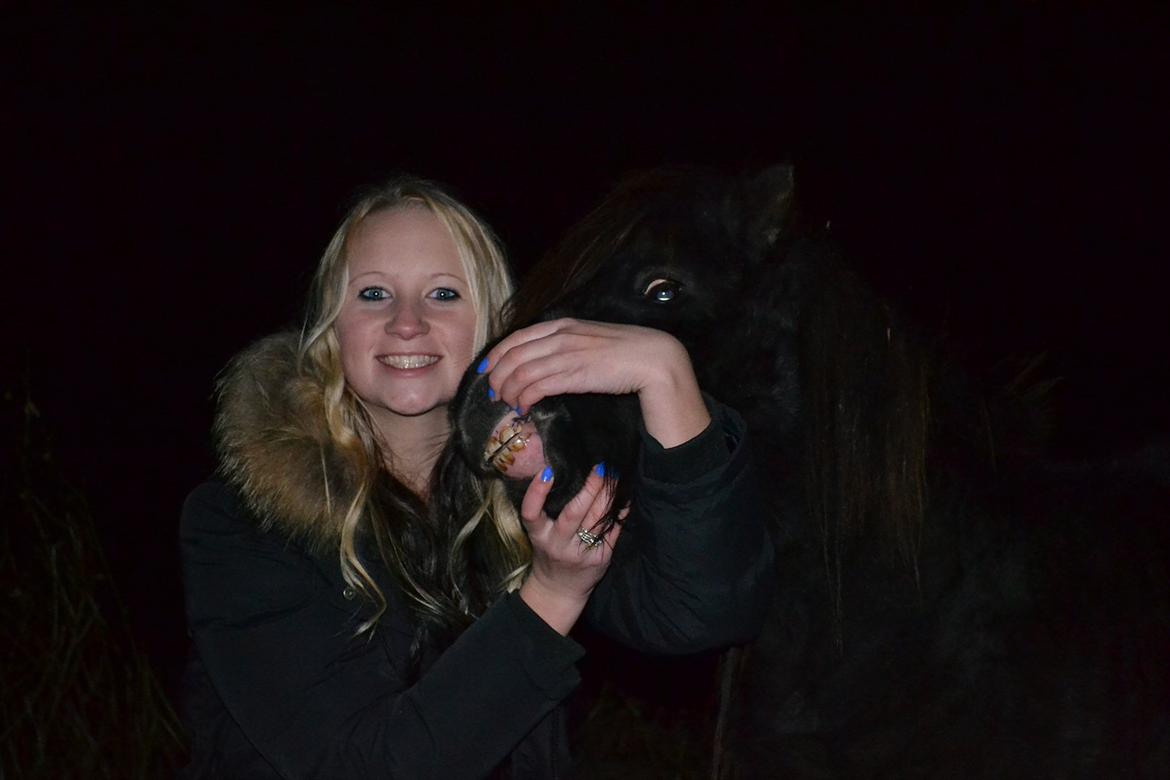 Shetlænder Dolf - arrrh vi er farlige!!! :D billede 16