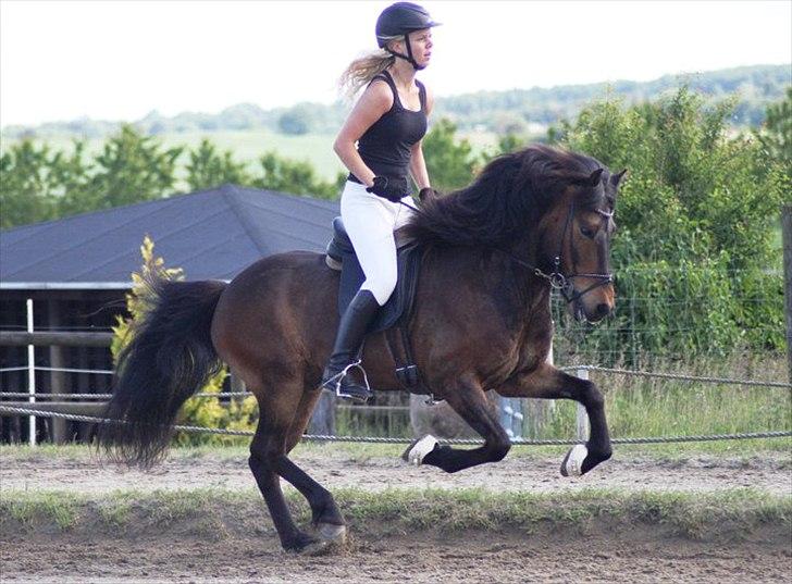 Islænder Dagfari fra Brunemark - Dejlig galop (: pinsestævnet 2011 billede 1