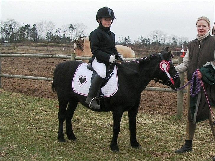 Shetlænder Trine (min første pony) - første stævne nogen sinne, og vi vandt  billede 1