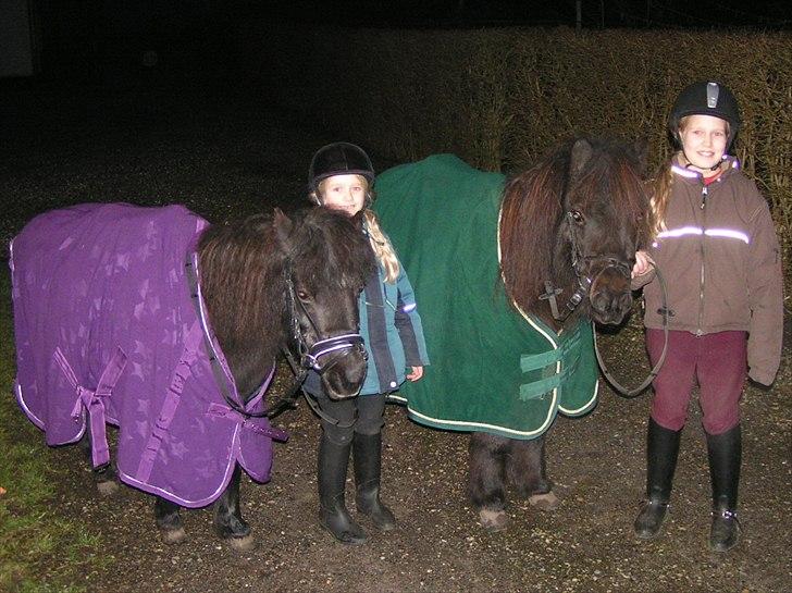 Shetlænder Trine (min første pony) - mig og Trine + Julie og Quid billede 7