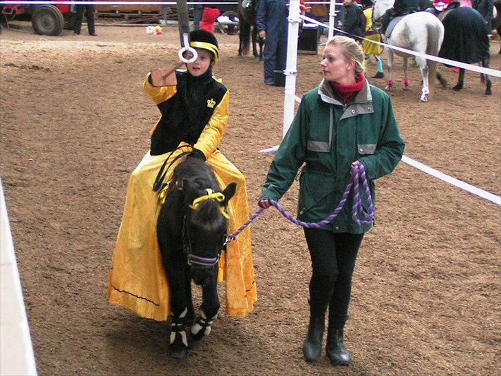 Shetlænder Trine (min første pony) - til fastalavn billede 8