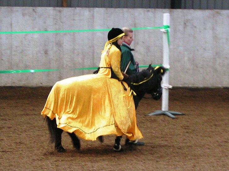 Shetlænder Trine (min første pony) - til fastalavn billede 9