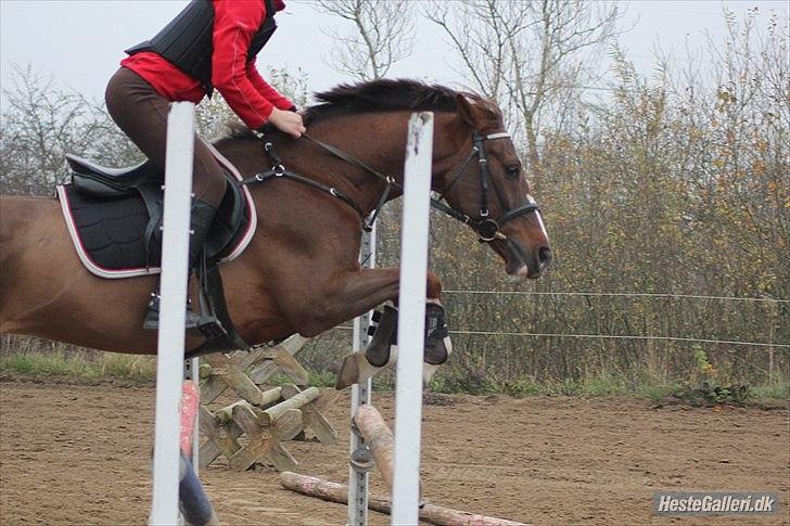 DSP Hope - Træning der hjemme, 2011 billede 5