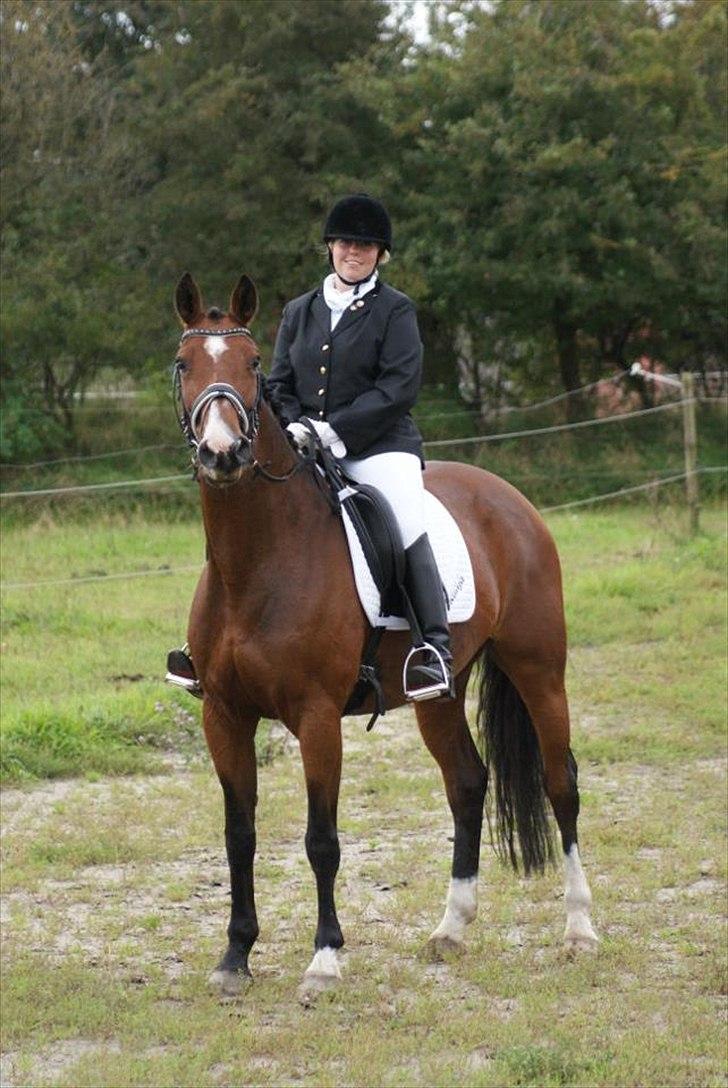 Westfaler Ronja billede 1