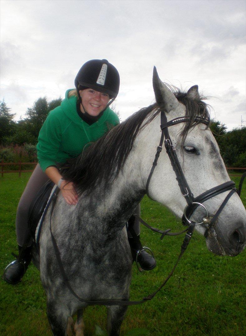 Anden særlig race Blue Silky Walker - Velkommen til min dejlige hests' profil - Blue Silky Walker :) billede 2