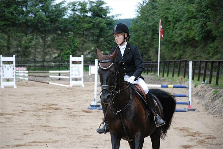 Pinto Monet billede 15