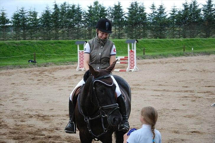 Pinto Monet billede 18