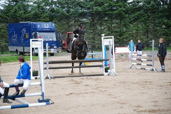 Pinto Monet billede 19