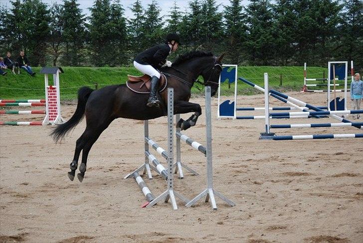 Pinto Monet billede 20