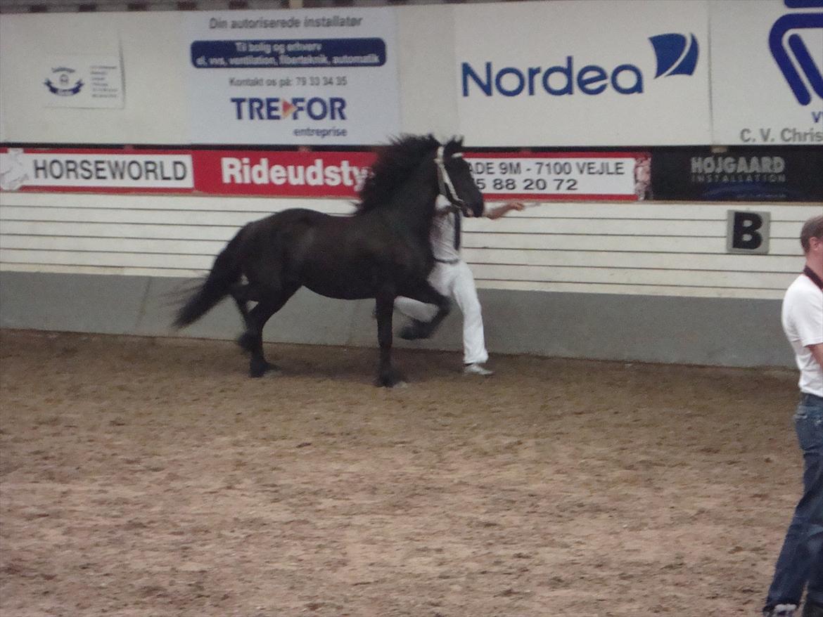 Frieser Frig - Hun klarede det så flot billede 5