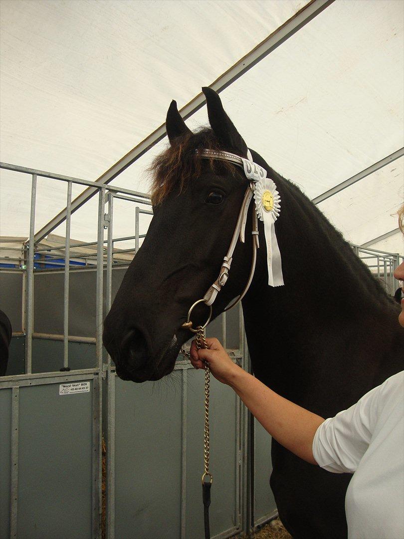 Frieser Frig - nr. 2 ud af 9 og en lækker 3 præmie - næste år bliver vi ster billede 6