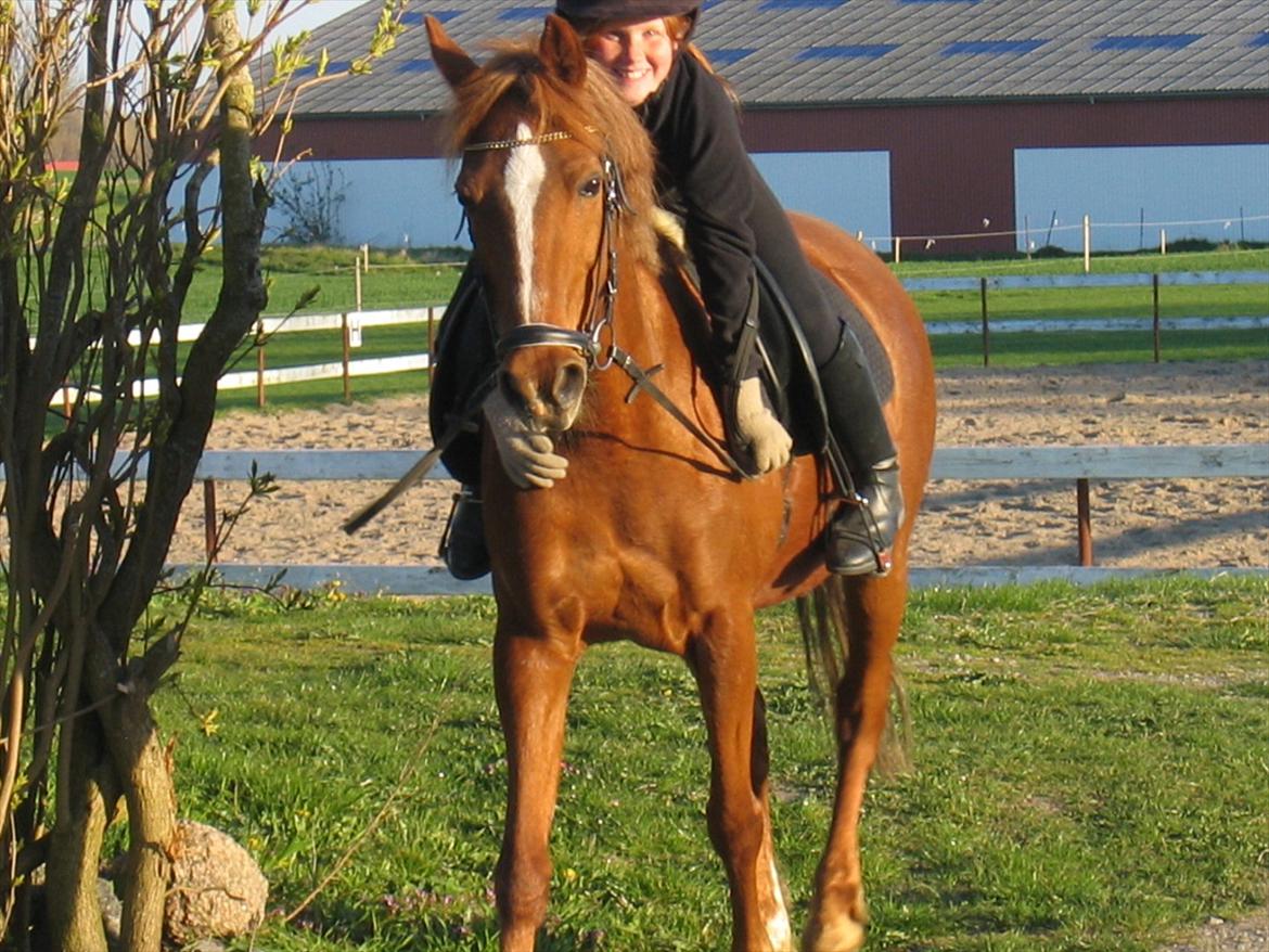 Anden særlig race Starlight - Velkommen til Starlight's profil:-D billede 1