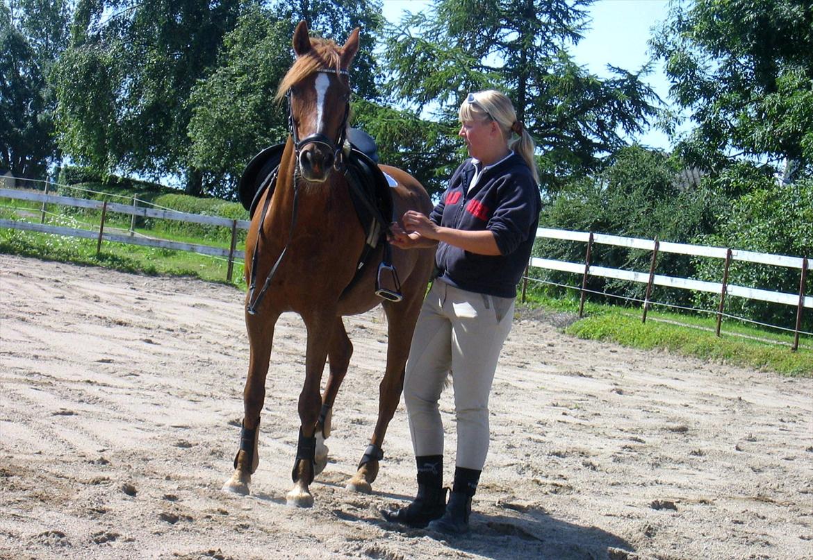 Anden særlig race Starlight - første dag, jeg skulle ride på hende, fik undervisning:-D billede 9