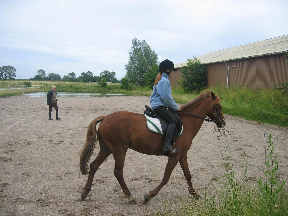 Anden særlig race Starlight - Da jeg skulle prøve hende billede 8