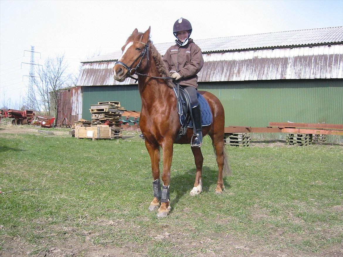 Anden særlig race Starlight - Starlight er bestemt også god til at posere foran kameraet:-D billede 6