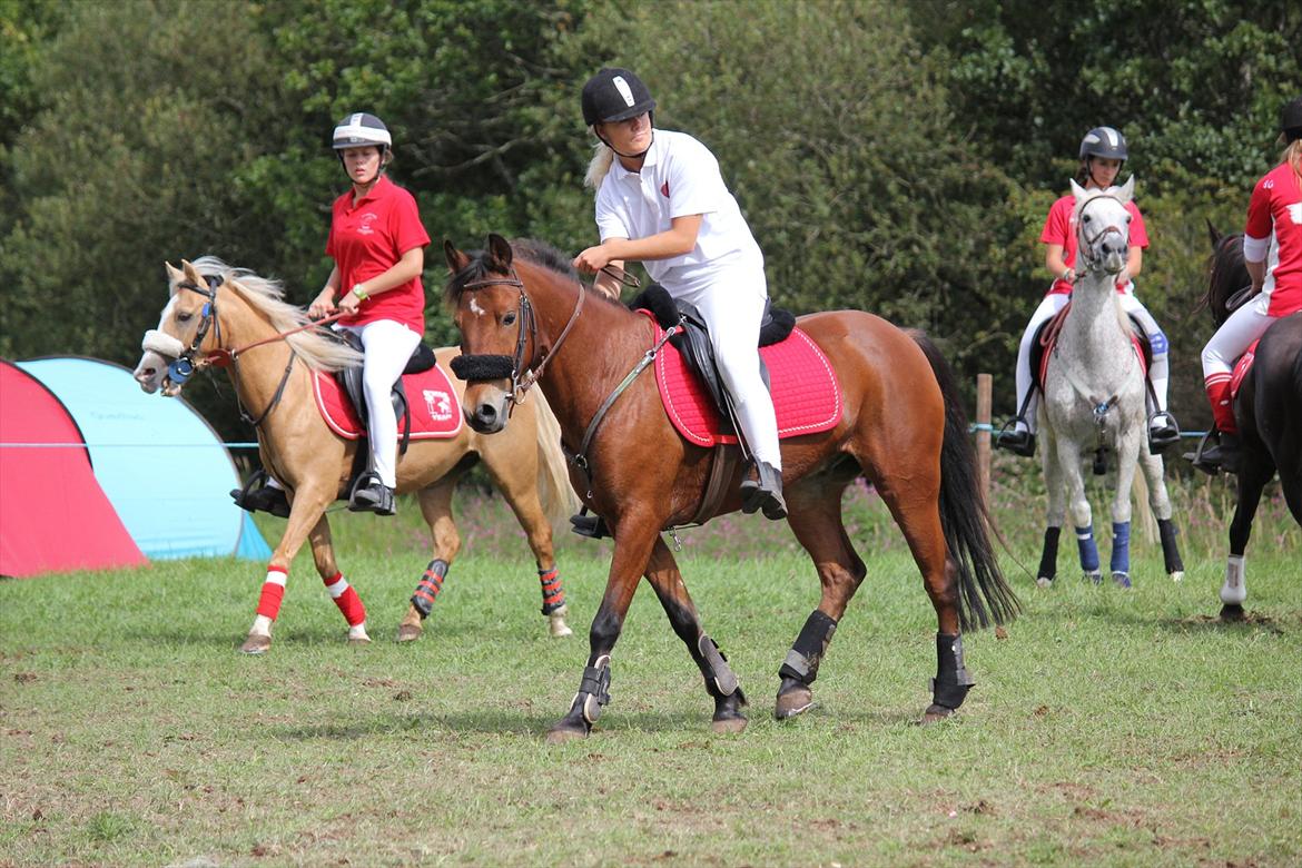 Anden særlig race Amazing Me DK - Træning inden EM 2011 :-) Foto: Min mor billede 18