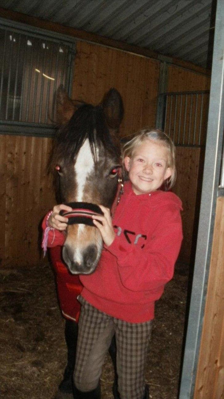 Anden særlig race Bonnie billede 1