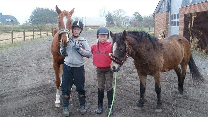 Anden særlig race Bonnie billede 4