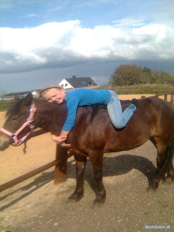 Anden særlig race Bonnie billede 6