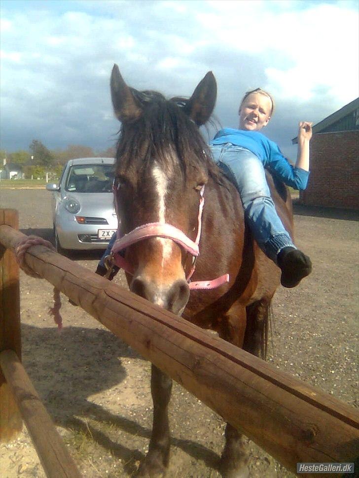 Anden særlig race Bonnie billede 7