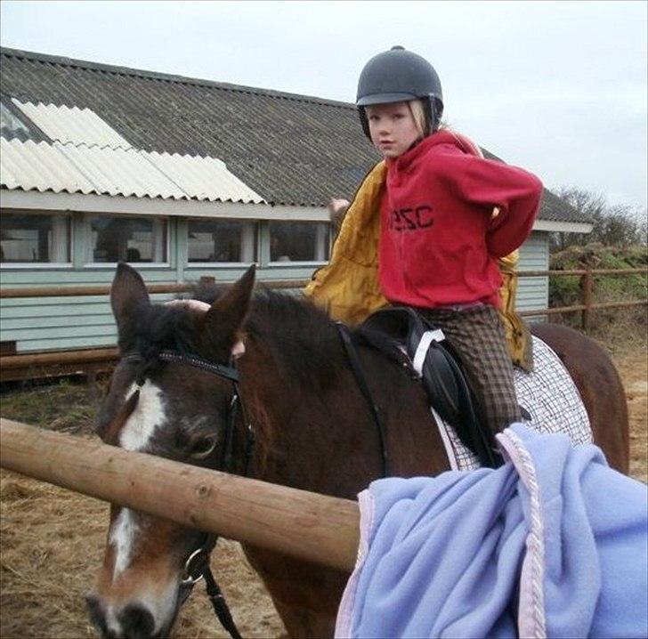 Anden særlig race Bonnie billede 10