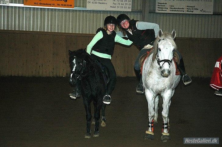 DSP Bjerregaards Wendy - Sis and mee til springtræning :-D<3 billede 12