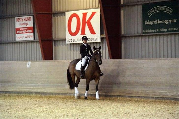 Anden særlig race Huntelaar billede 10