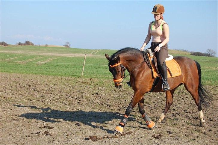 Anden særlig race Coco Popz - Coco og Jeg billede 2