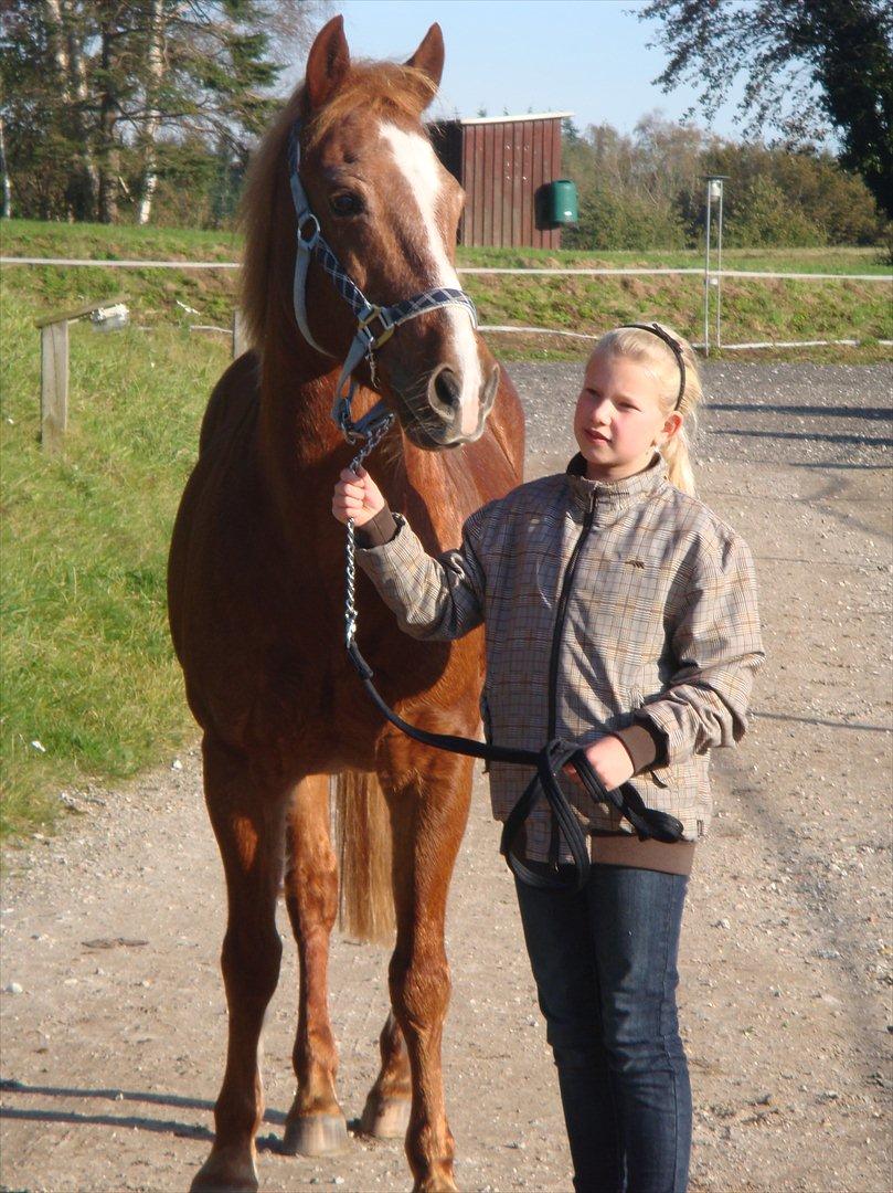 Anden særlig race Oliver - Sofie har netop lige fået Oliver billede 5