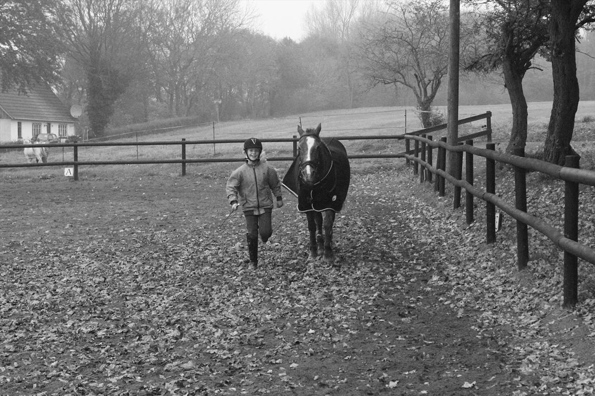 Anden særlig race Oliver - Side om side gemmen livet billede 6