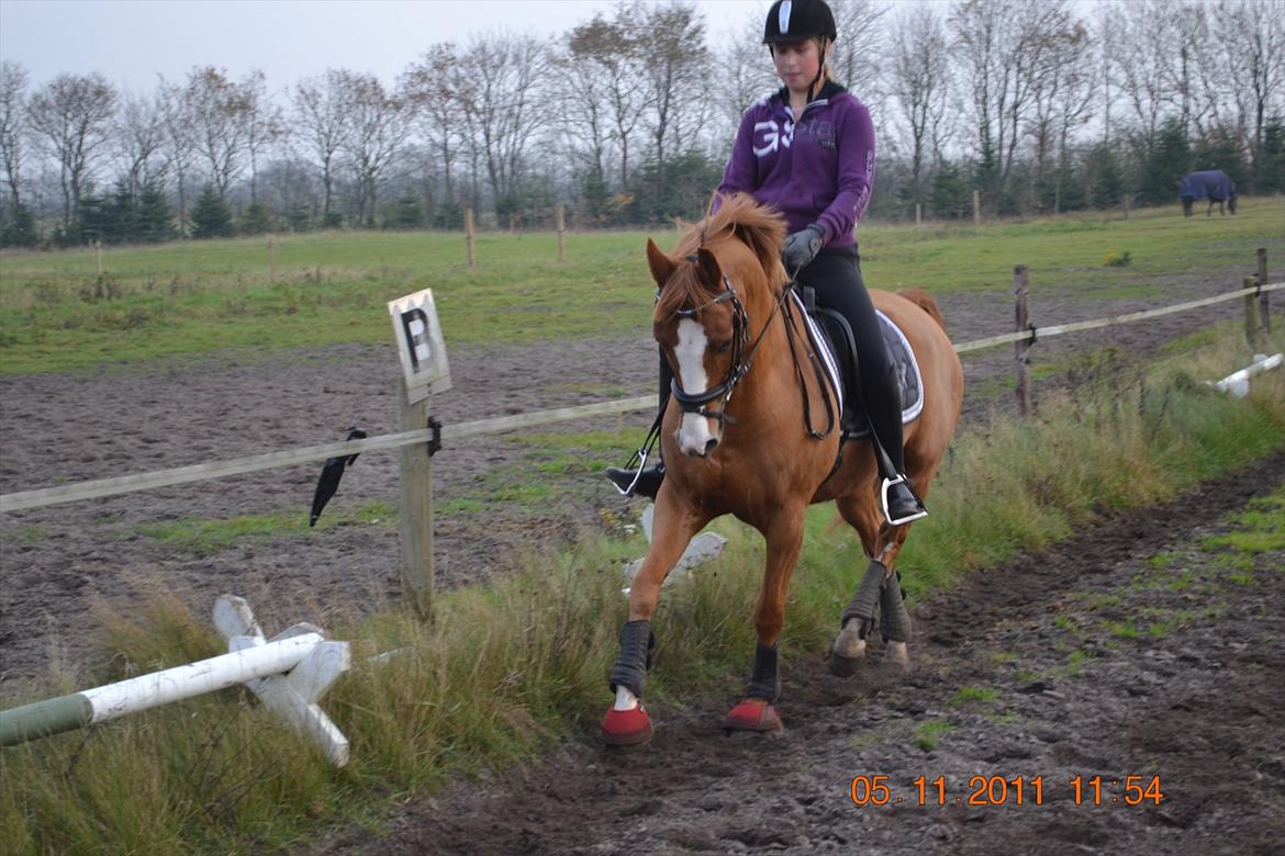 DSP lynet billede 12