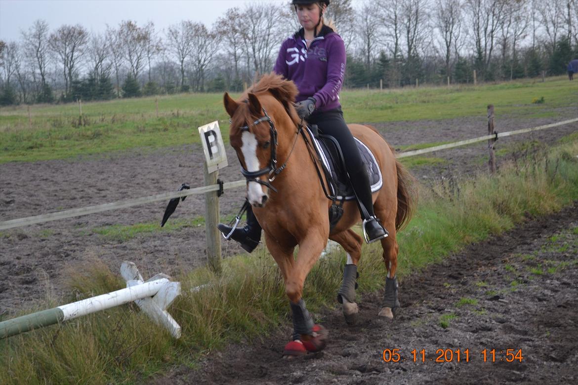 DSP lynet billede 13