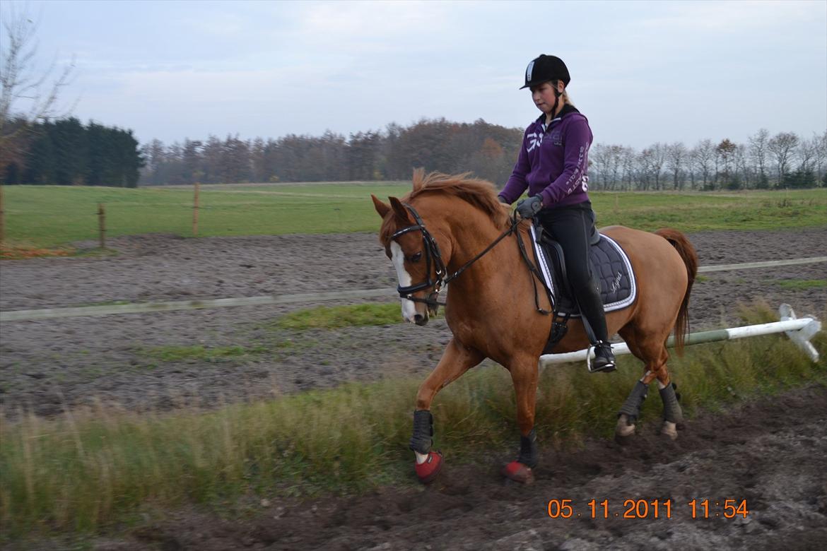 DSP lynet billede 14