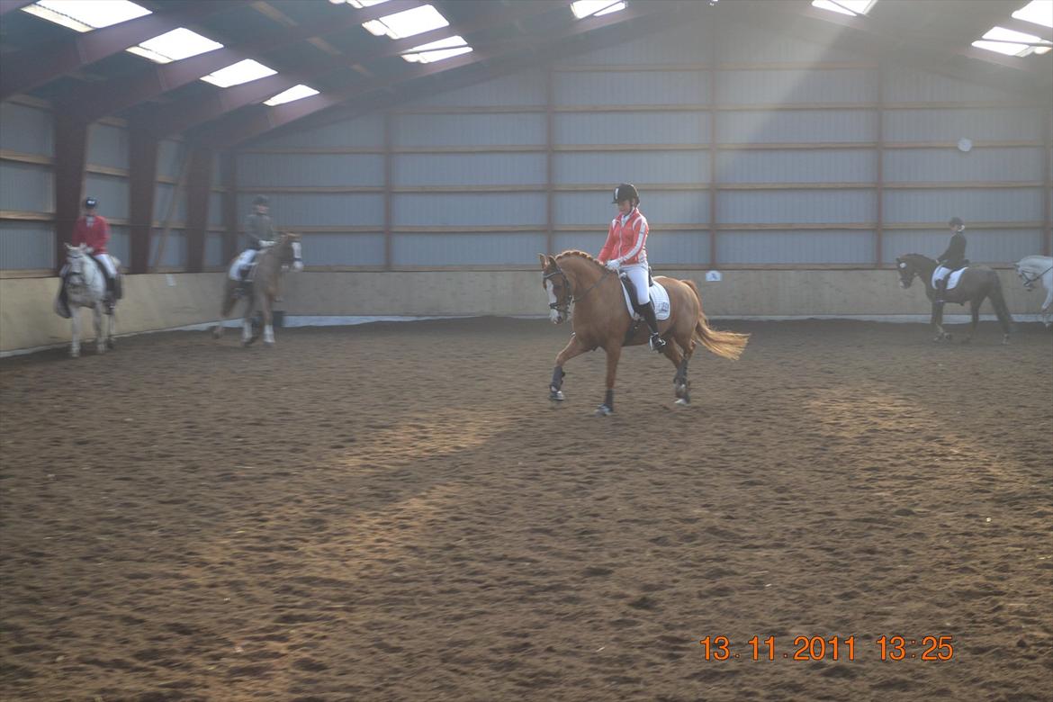 DSP lynet billede 18