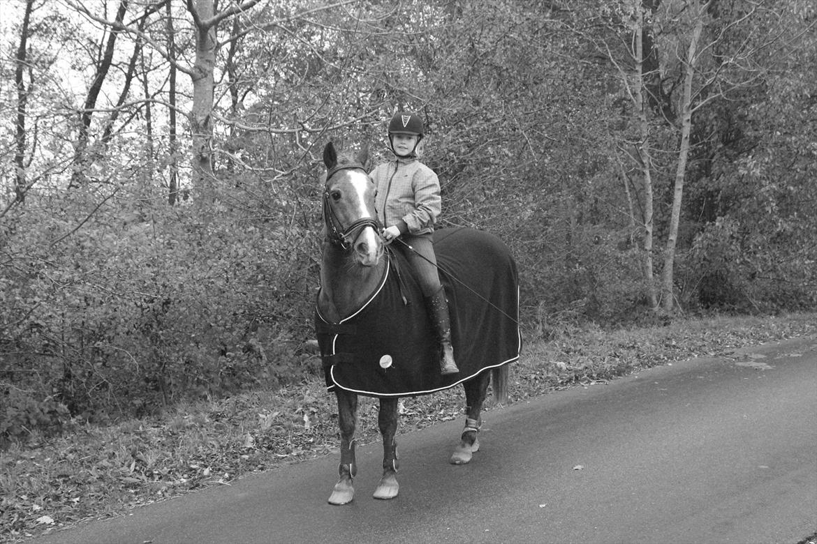 Anden særlig race Oliver - Skøn skovtur billede 8