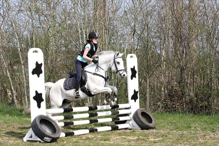 Anden særlig race Tristan Silverboy - Vores første springtur:D billede 4