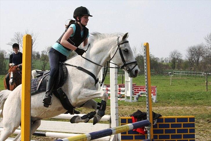 Anden særlig race Tristan Silverboy - vores første springtur billede 6